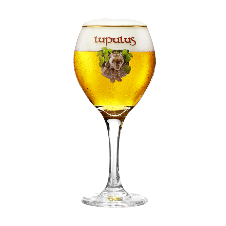 VERRE LUPULUS 12*33CL