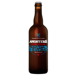 ANOSTEKE CUVEE D'HIVER_AMBREE_0.75